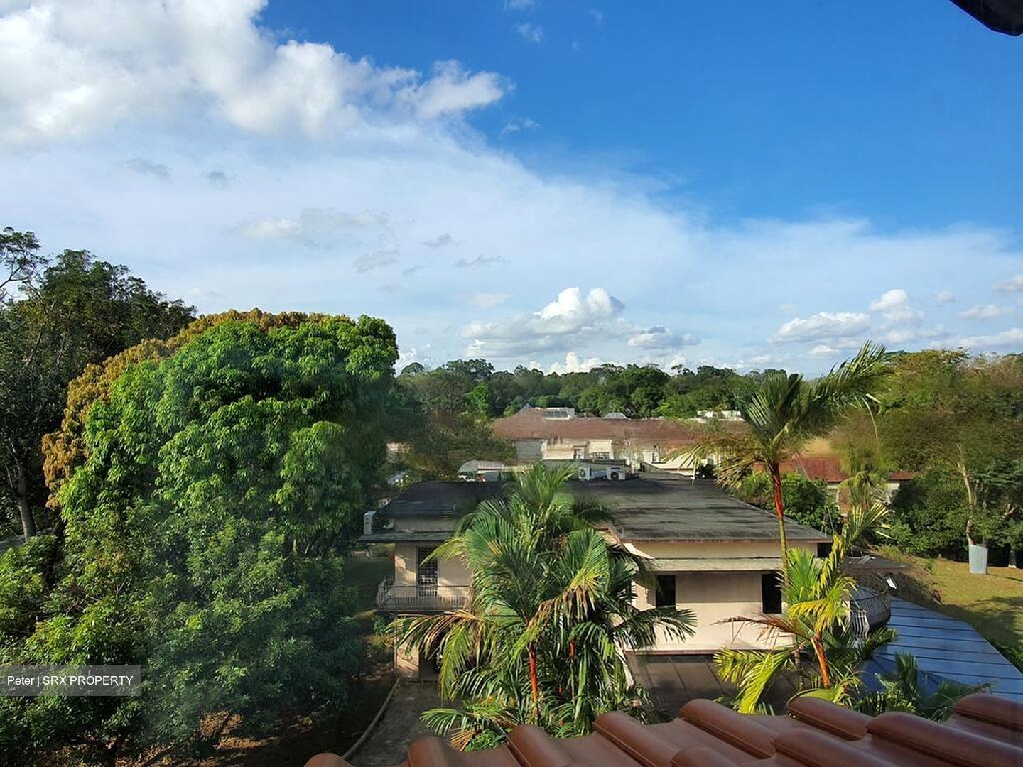 Bin Tong Park (D10), Detached #468538011